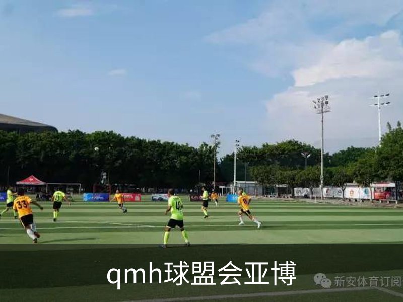 qmh球盟会亚博介绍